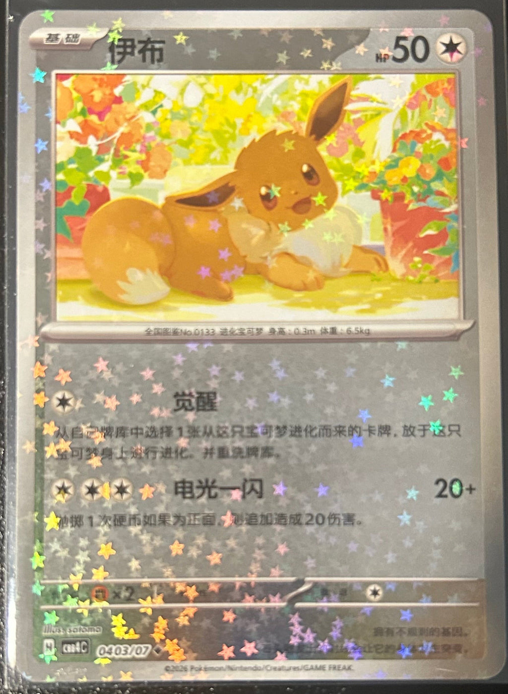 Eevee (Stars) 0403 Gem Pack Vol 4