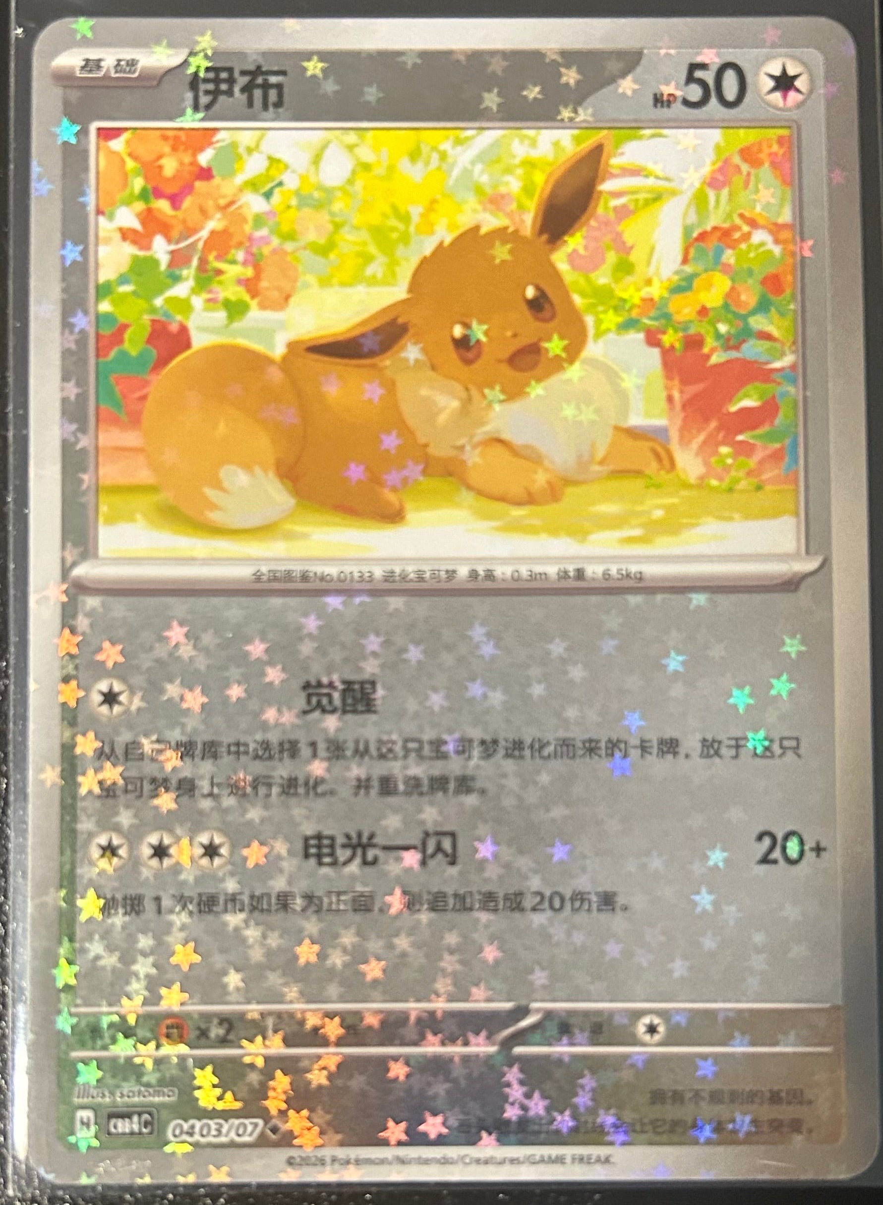 Eevee (Stars) 0403 Gem Pack Vol 4
