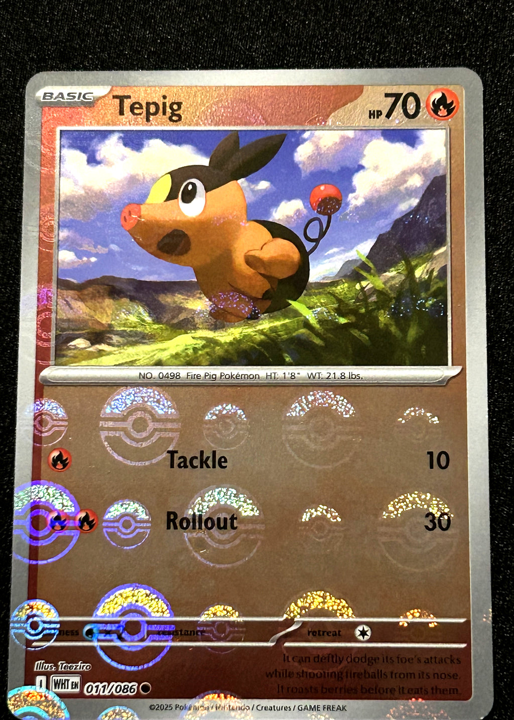 Tepig 011 Poké Ball Pattern White Flare front